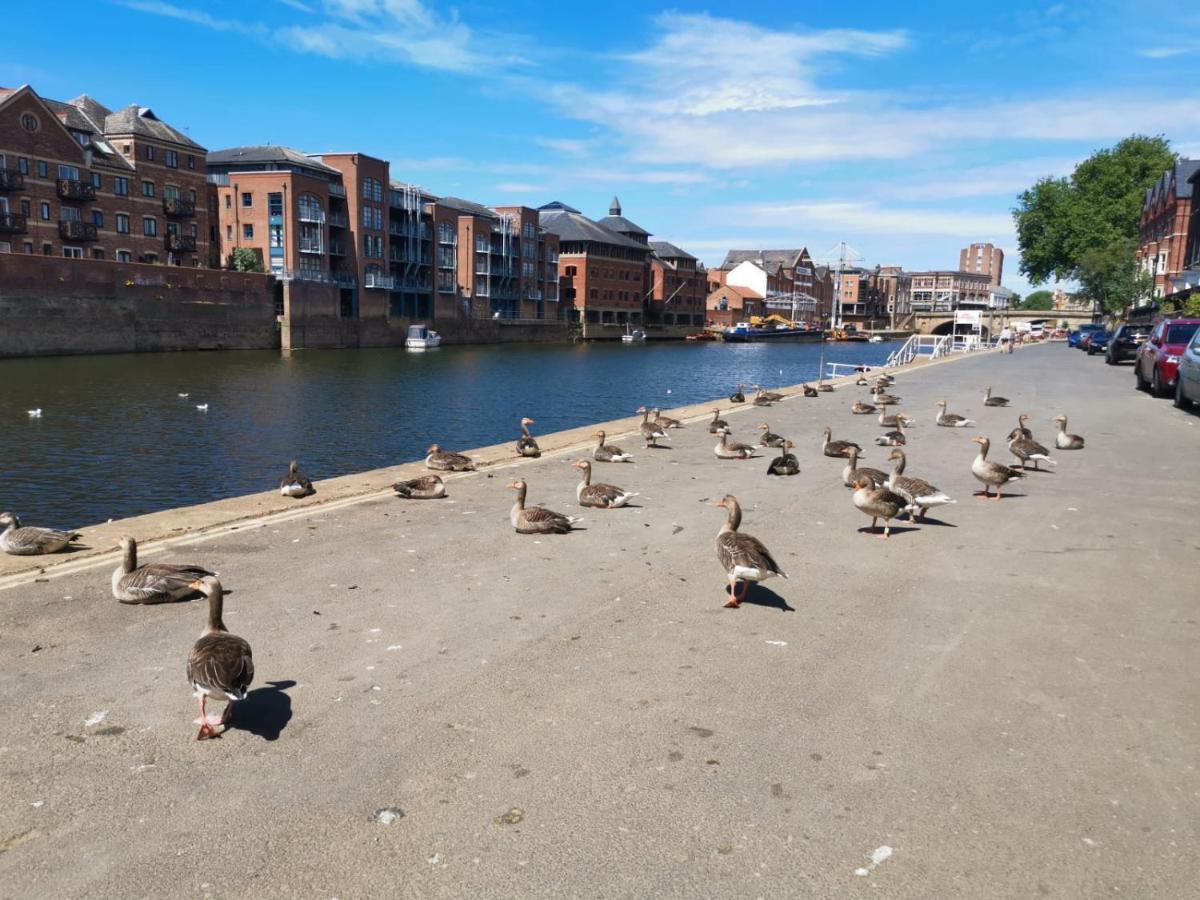 Hartoft St - 2 Bed Near River York Zewnętrze zdjęcie
